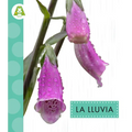 La Lluvia