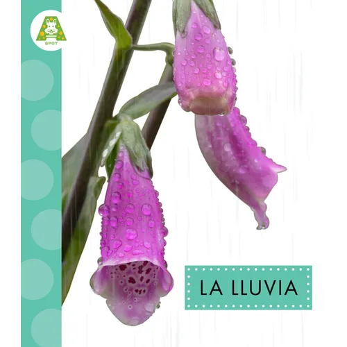 La Lluvia