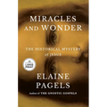 Miracles and Wonder: The Historical Mystery of Jesus