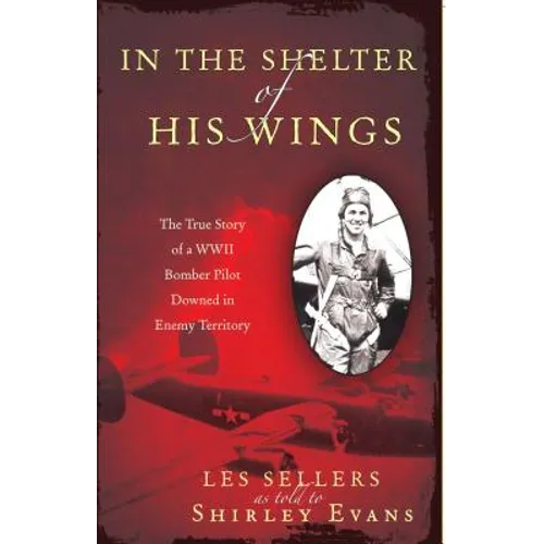 In the Shelter of His Wings: The True Story of a WWII Bomber Downed in Enemy Territory