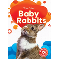 Baby Rabbits