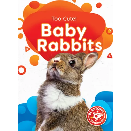 Baby Rabbits