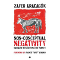 Non-Conceptual Negativity: Damaged Reflections on Turkey