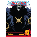 Bleach, Vol. 43
