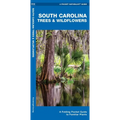 South Carolina Trees & Wildflowers: A Folding Pocket Guide to Familiar Plants