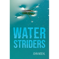 Water Striders