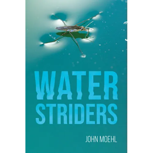 Water Striders