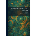 The Woad Plant and Its Dye