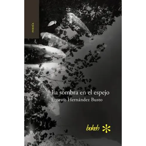 La sombra en el espejo. Versiones japonesas