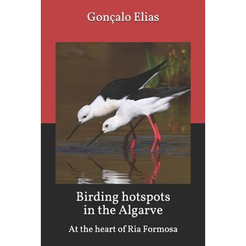 Birding hotspots in the Algarve: At the heart of Ria Formosa