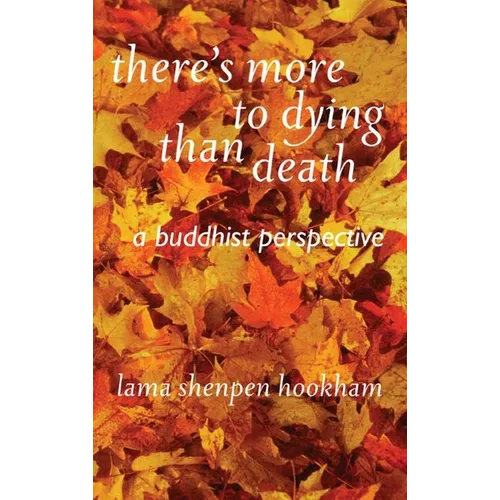 There's More to Dying Than Death: A Buddhist Perspective
