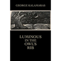 Luminous in the Owl's Rib