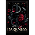 Into the Darkness