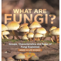 What are Fungi? Groups, Characteristics and Roles of Fungi Explained Grade 6-8 Life Science
