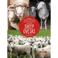 Ovejas (Sheep) Bilingual Eng/Spa