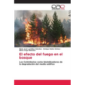 El efecto del fuego en el bosque