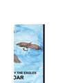 I Know Why The Eagles Soar: A Collection of Poems