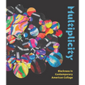 Multiplicity: Blackness in Contemporary American Collage