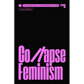 Collapse Feminism: The Online Battle for Feminism's Future