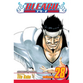 Bleach, Vol. 28