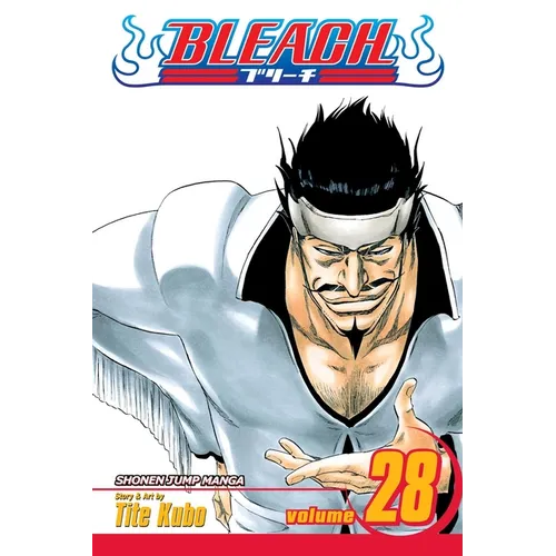 Bleach, Vol. 28