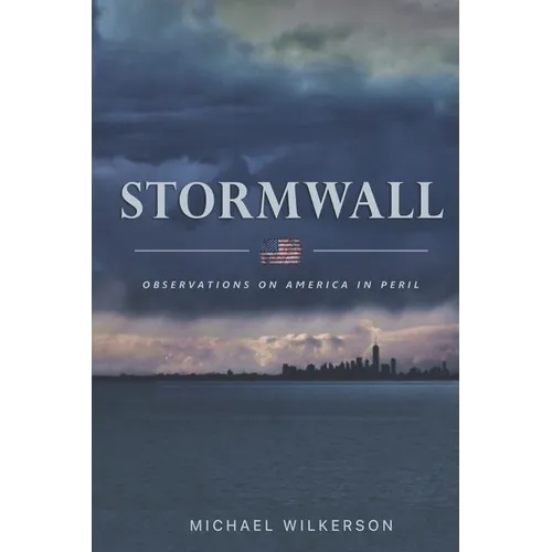 Stormwall: Observations on America in Peril