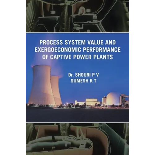 Process System Value and Exergoeconomic Performance of Captive Power Plants