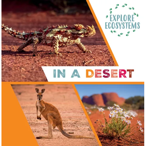 In a Desert