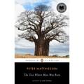 The Tree Where Man Was Born