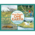 Many Biomes, One Earth