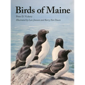 Birds of Maine