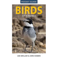 Pocket Guide to Birds of Namibia