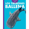 Curiosidad Por Los Tiburones Ballena