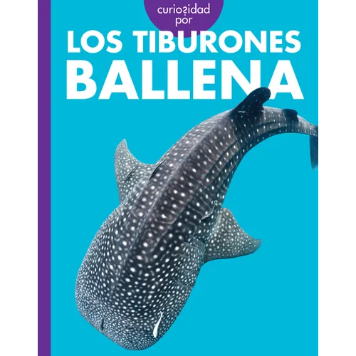 Curiosidad Por Los Tiburones Ballena