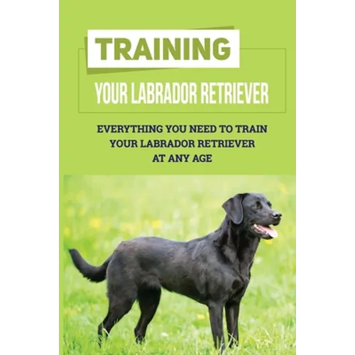 Training Your Labrador Retriever: Everything You Need To Train Your Labrador Retriever At Any Age: How Much Is Enough Exercise For Labrador Retriever