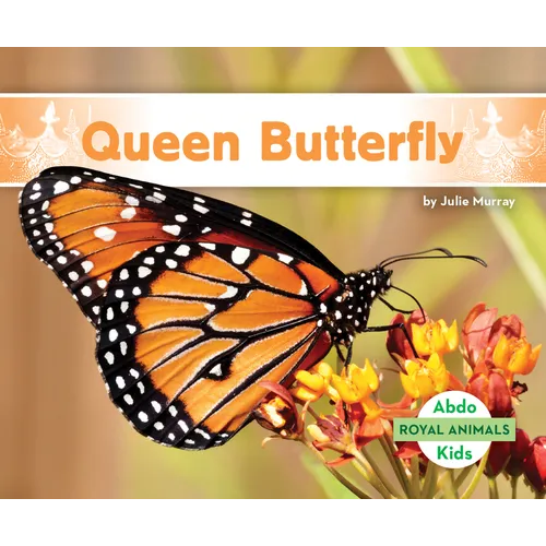 Queen Butterfly