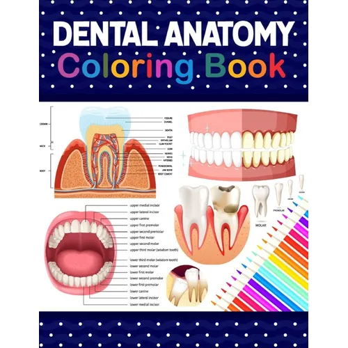 Dental Anatomy Coloring Book: Learn the Basics of Dental Anatomy. Dental Anatomy Coloring Book for Cute Children's, Kids, Boys, Girls, Dental Assistan