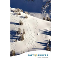 Day Surfer Login Organizer (Fresh Tracks on the Mountain)
