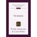Numbers: An Introduction and Commentary