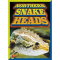 Northern Snake Heads