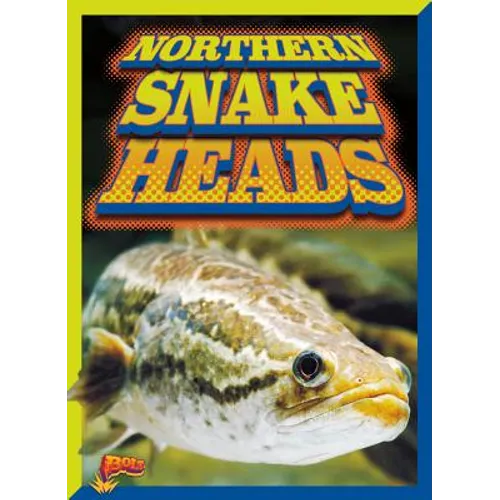 Northern Snake Heads