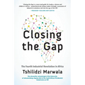 Closing the Gap: The Fourth Industrial Revolution in Africa