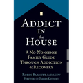Addict in the House: A No-Nonsense Family Guide Through Addiction and Recovery