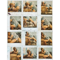 Polaroids