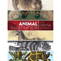 Animal Illustration: The Essential Reference