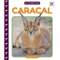 Caracal