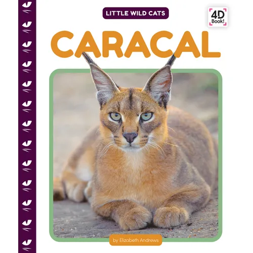 Caracal