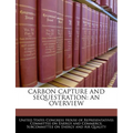Carbon Capture and Sequestration: An Overview
