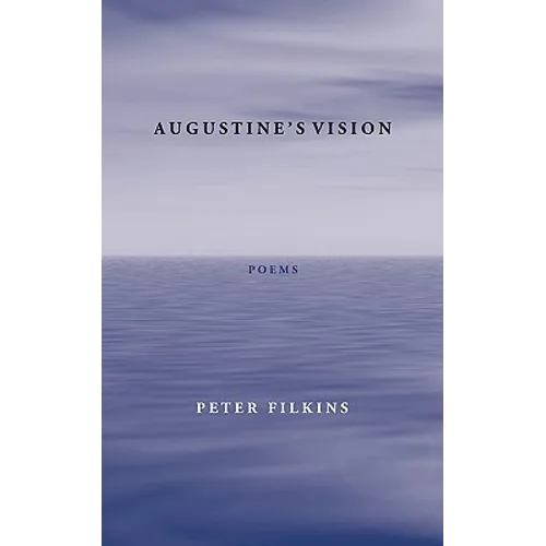 Augustine's Vision