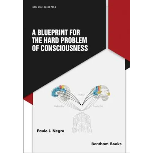 A Blueprint for the Hard Problem of Consciousness - Paperback